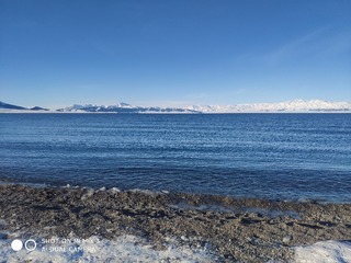 954540