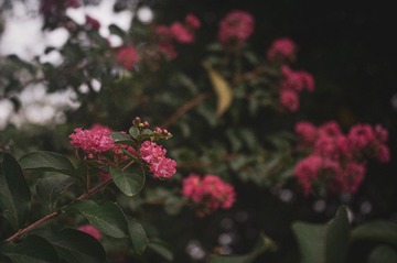 1317140