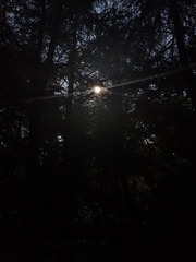 1000029872