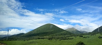 1000009168