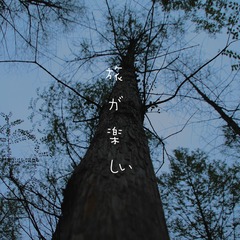 D72B04D5-290A-481F-BC8B-B70133546734/L0/001