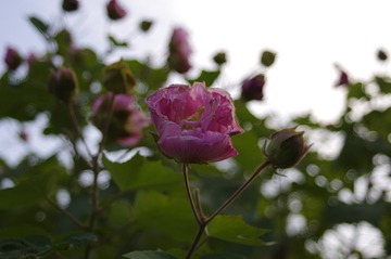 601088AB-0284-4791-BD99-062A3F52CB07/L0/001