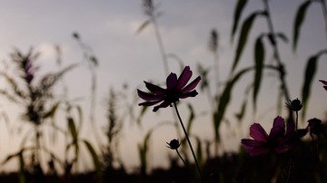 5FA17C78-76C6-4E8C-B7F9-03589DB093A3/L0/001