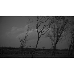 F0671F66-EA03-44ED-918C-A5938912117B/L0/001