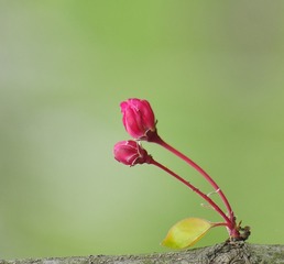 735959