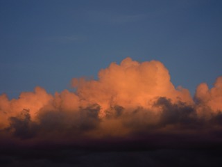 A2B36690-C1D4-4C54-88B2-F6486A038796/L0/001