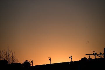 1000123037