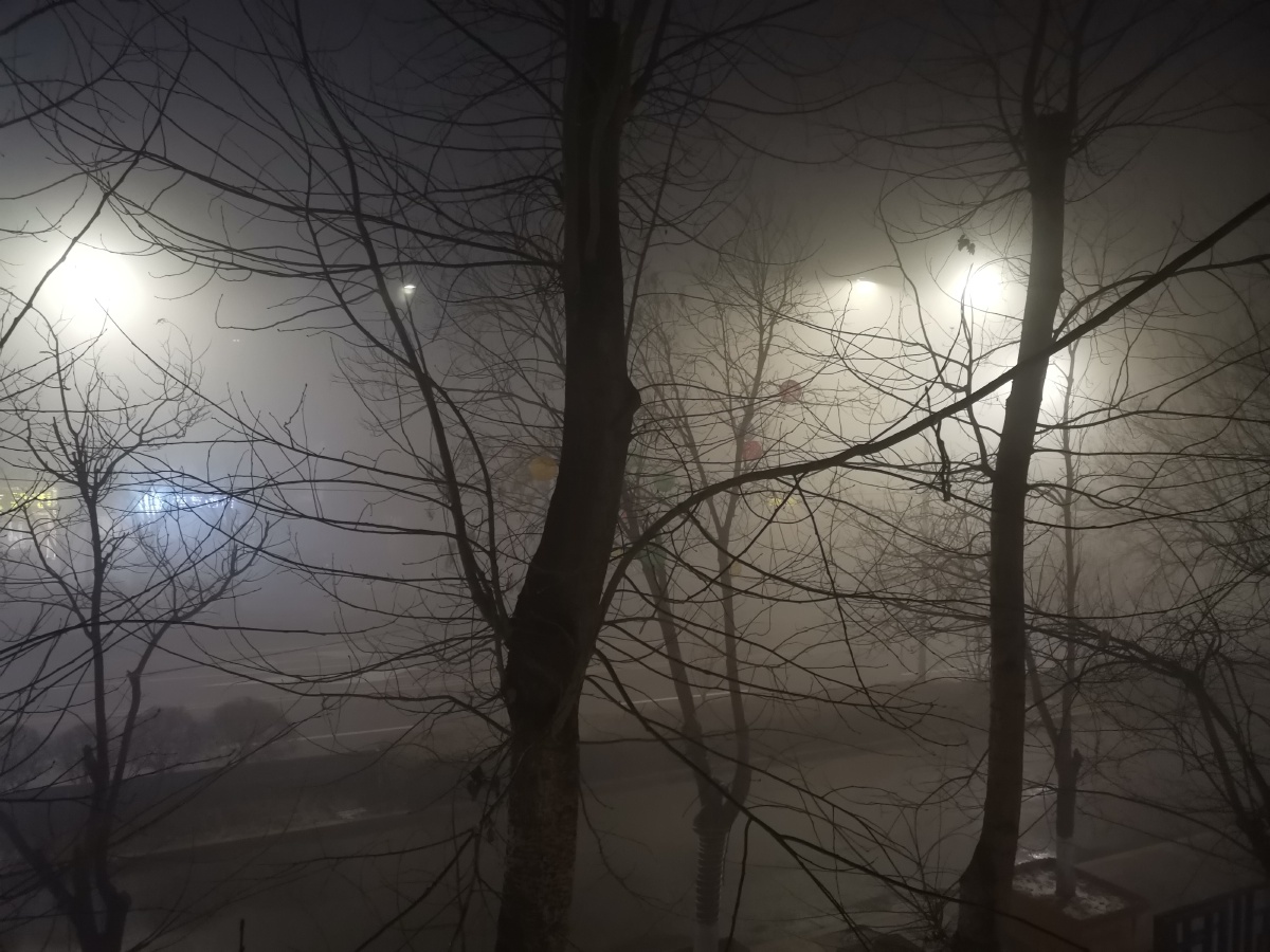 冬天的晚上起了大雾连距离三十米的对面商店都看不到