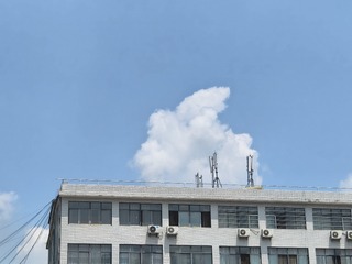 1000001606
