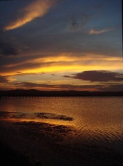 20100211 悉尼 The Entrance_076