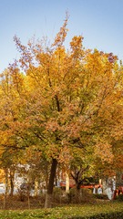 1680234