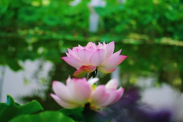 C2B88F83-519F-4BDA-8C64-983C1DC7E6D7/L0/001