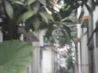 CB5EF247-4222-4818-8DDD-95411EC956CA/L0/001