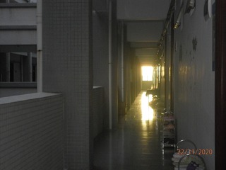 BF77DFEC-0D3C-4D7B-9D54-B98053E258F6/L0/001