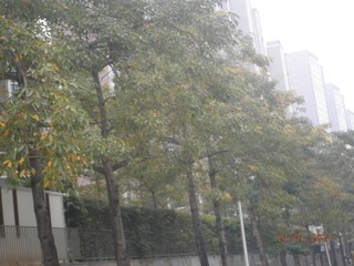 7F54F0A1-4F4B-4106-BD31-2CFA6631A988/L0/001