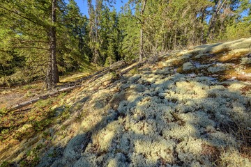 _MG_6489.JPG