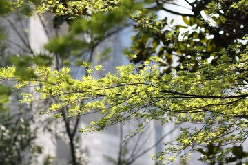 _MG_7110.JPG