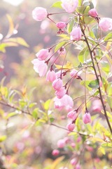 _MG_7121.JPG