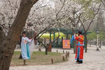 Cosplay