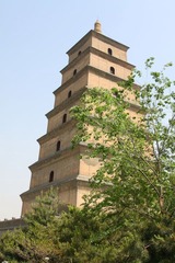 树中大雁塔