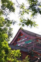 DPP_0008