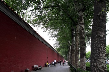 墙根