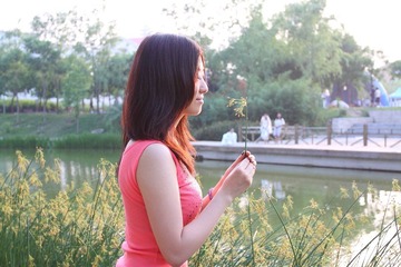 菲儿