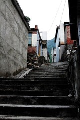 村里的路..