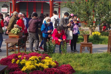 我说这是原片，你们信吗？