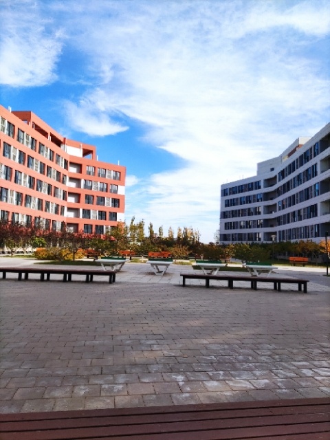 原图无p地点天津天狮学院