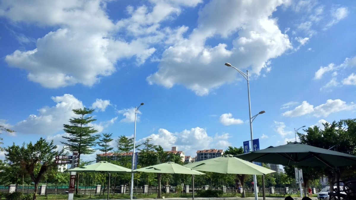 天气晴朗阳光明媚77