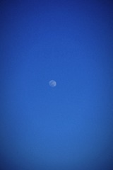 38C6D262-FA03-41A0-9D2A-E3F55802DBA1/L0/001