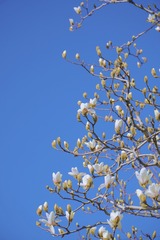 83E1CE77-266A-45D3-88FC-AD85210D4049/L0/001