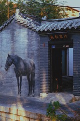 726CF53B-DDD1-44E1-89E4-B63555ECC532/L0/001