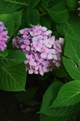 C4E2328A-DE84-4B68-9E7D-1962A4398D4C/L0/001
