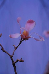 31C9B745-8E27-42A3-9FA3-578F24BC08FC/L0/001