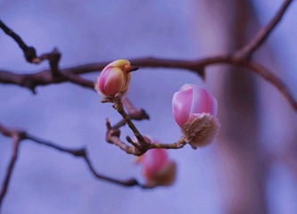 03312043-8FEC-4DFB-84F2-B7619601F478/L0/001