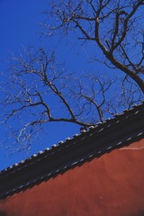 7CD81102-F35D-4A37-9F8D-4AF48CA9B096/L0/001