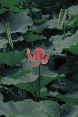 376ECCA3-B01D-4BA4-A056-B357BCE65A48/L0/001