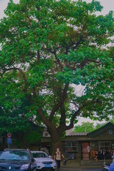 8D4B2165-B129-499B-AA31-B4F156AE2DE9/L0/001
