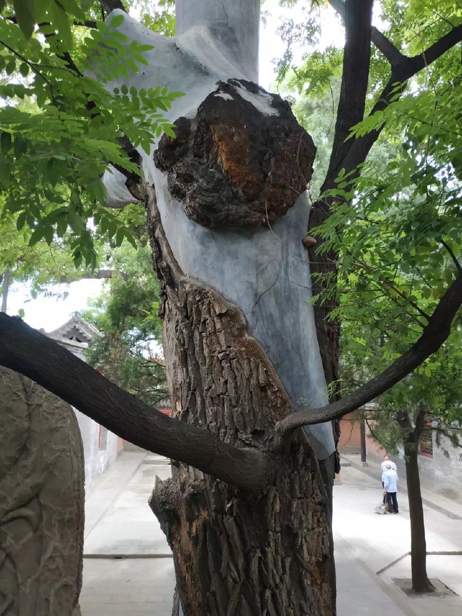 山宇古塔 - 摄影师春华秋实 - 图虫