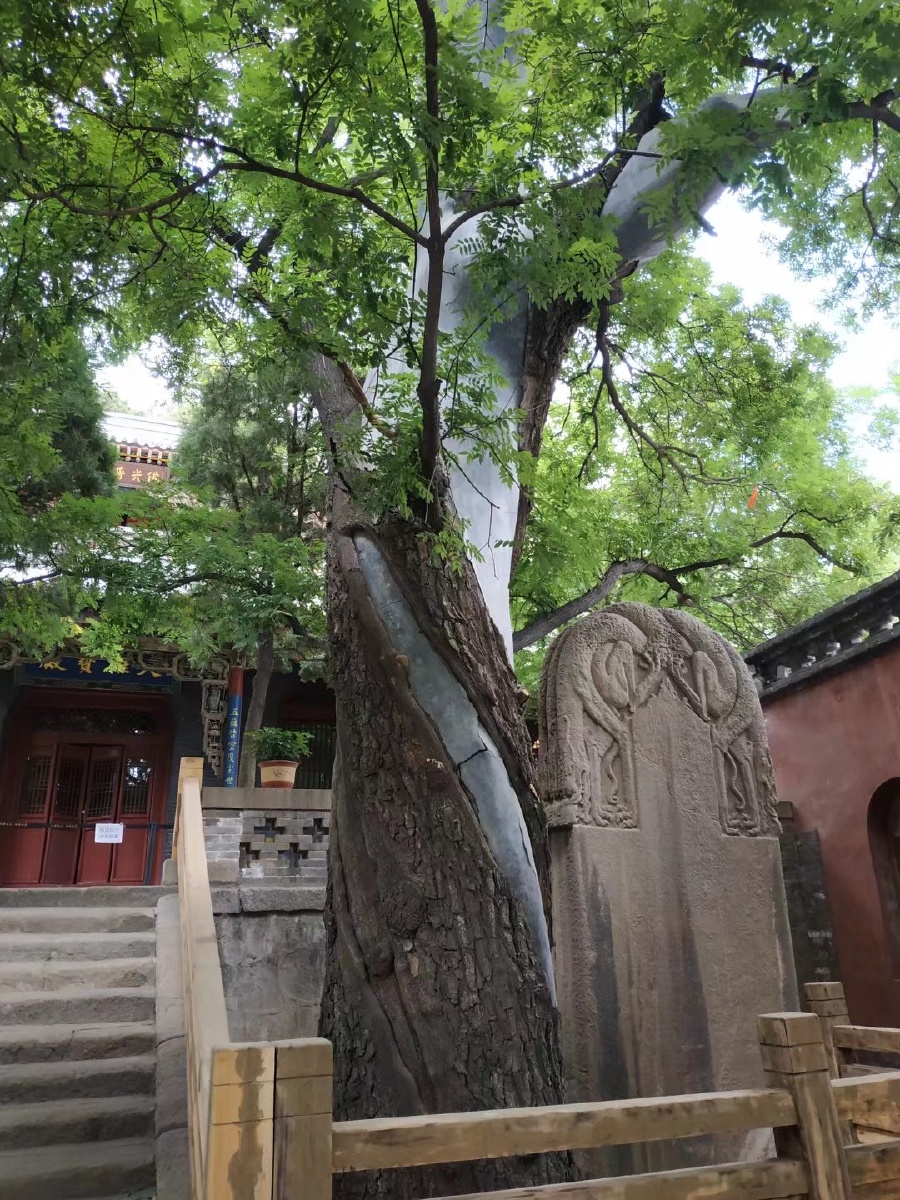 山宇古塔 - 摄影师春华秋实 - 图虫