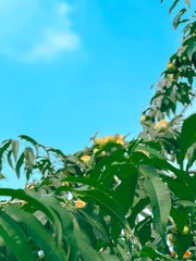 139D2FE0-0B8C-45D5-8615-1E3BA1CB529E/L0/001