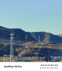 1000109263