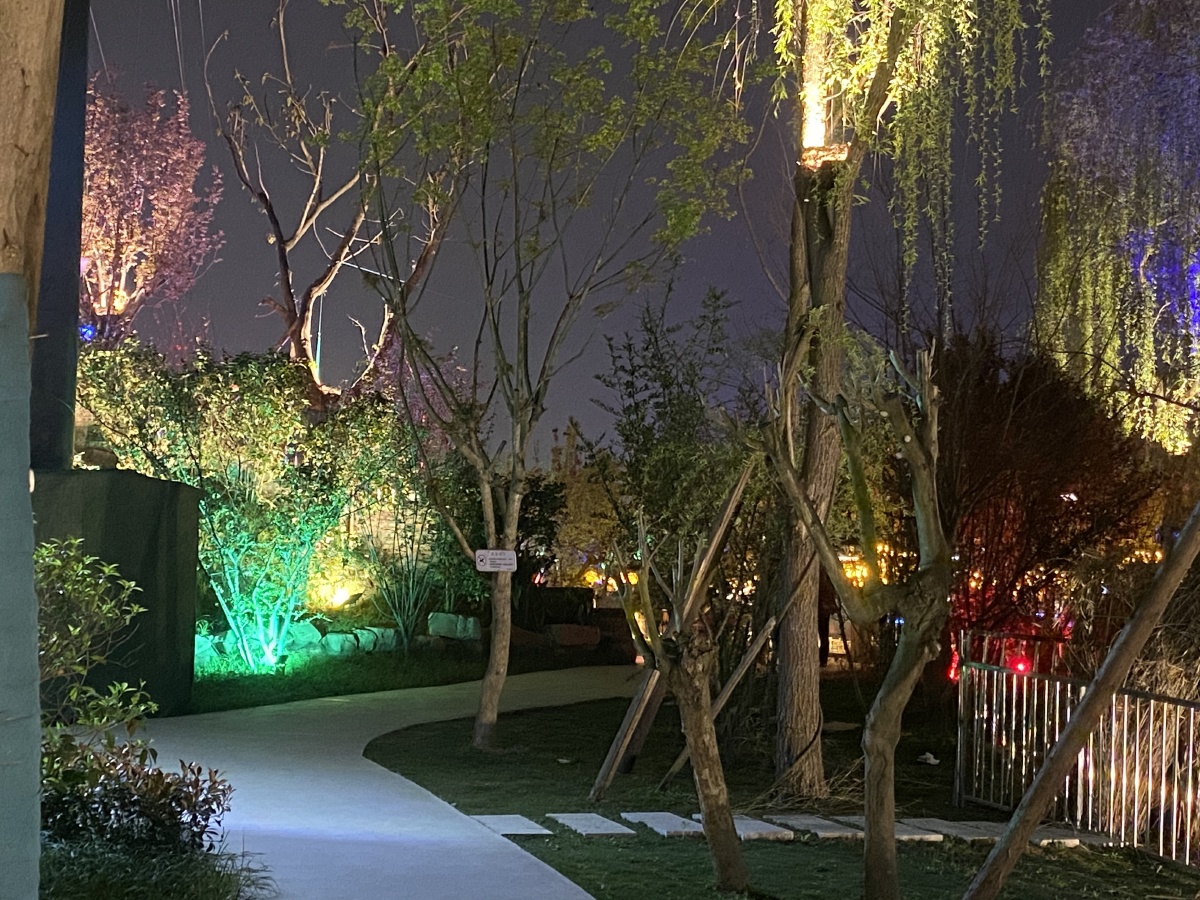 天府芙蓉园夜景