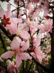 DSCN13ee56