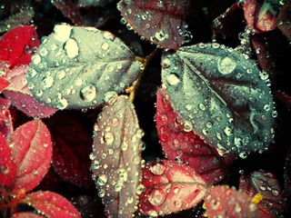 DSCN1485