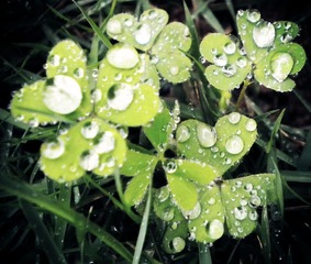 DSCN1499