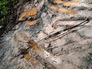 DSCN1637