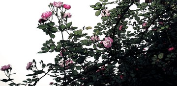 DSCN1671